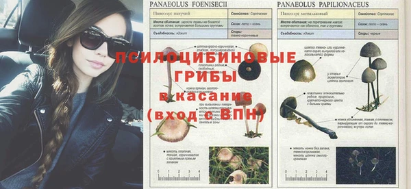 дживик Алексин