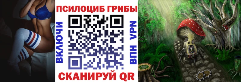 Галлюциногенные грибы мицелий  blacksprut зеркало  Салехард 