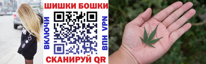 Шишки марихуана SATIVA & INDICA  где можно купить   Салехард 